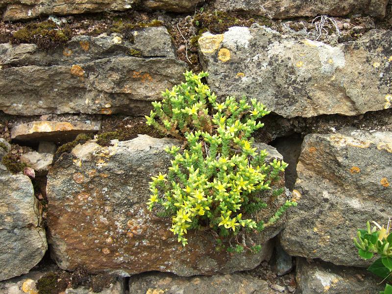 2010-05- (48).JPG